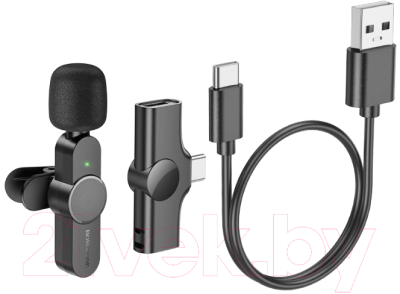 Микрофон Borofone BFK12 Type-C (черный)