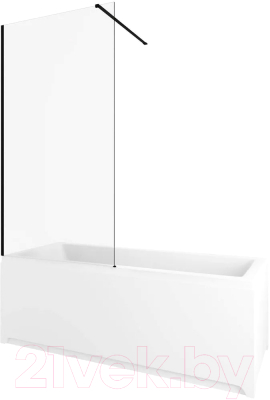 Стеклянная шторка для ванны Allen Brau Infinity 3 3.21063.BBA / 323855 (черный браш)