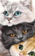 Картина Stamion Котята (55x85см) - 