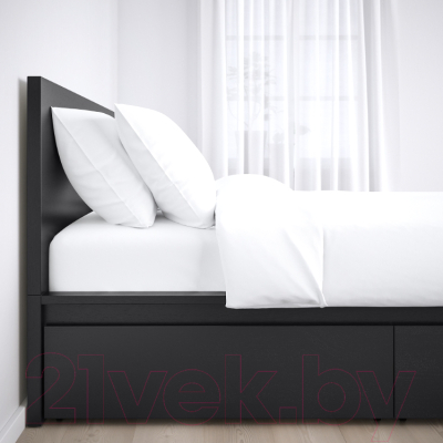 Двуспальная кровать Ikea Мальм 992.110.08