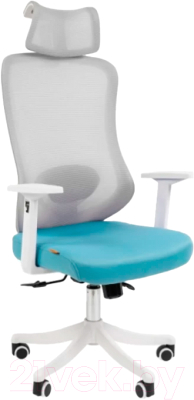 Кресло офисное Chairman CH563 (белый пластик/бирюзовый)