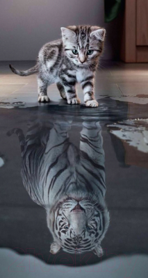 Картина Stamion Тигра на сером (40x75см)