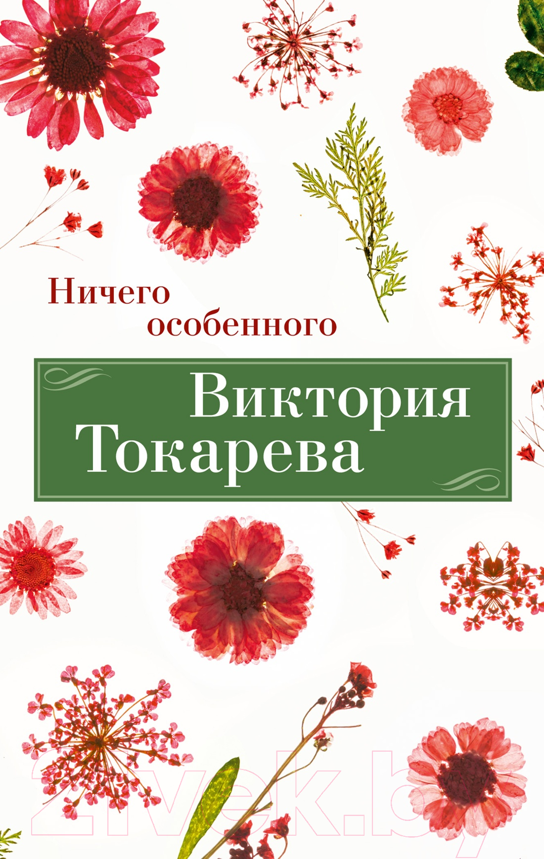 Художественная книга Азбука Ничего особенного / 9785389246119 (Токарева В.) — фото 1