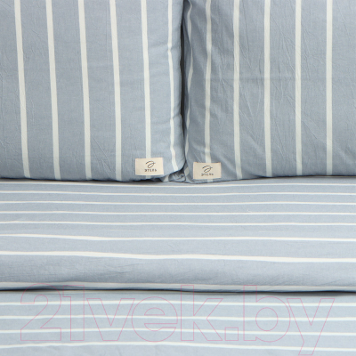 Комплект постельного белья Этель Blue Stripe Евро / 10131658