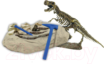 Набор для опытов Konik Science Раскопки ископаемых животных Ти-Рекс / SSE019