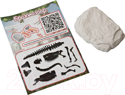 Набор для опытов Konik Science Раскопки ископаемых животных Брахиозавр / SSE021