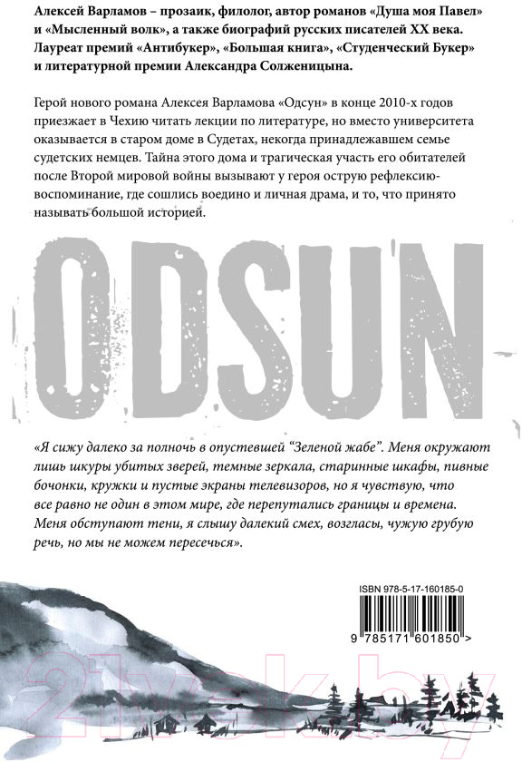 Художественная книга АСТ Одсун / 9785171601850 (Варламов А.Н.) — фото 3