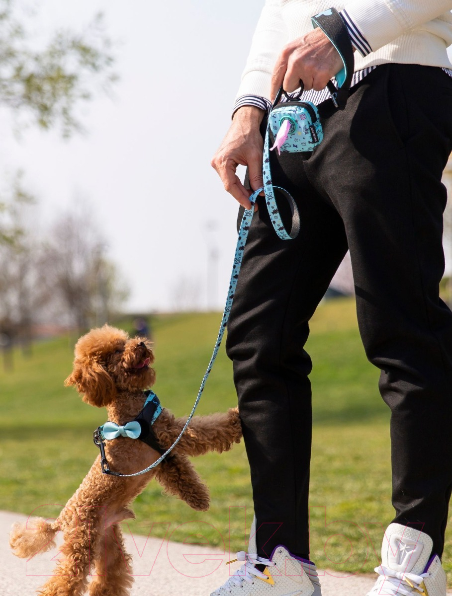 Поводок United Pets Complete Me Writing 120см, 2.5см (голубой с рисунком) — фото 3