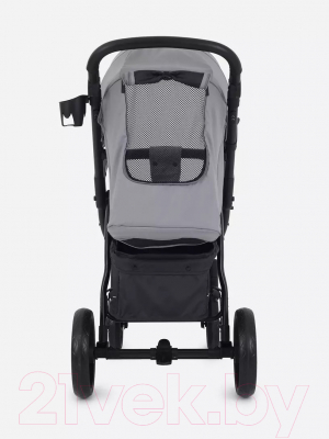 Детская прогулочная коляска Rant Alpine 2024 / RA450 (Grey)