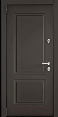 Входная дверь Torex Снегирь Pro PP-31 (88x205, левая)