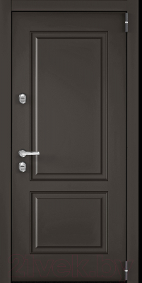 Входная дверь Torex Снегирь Pro PP-31 (95x205, правая)