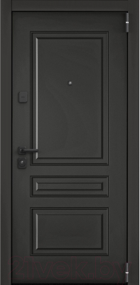 Входная дверь Torex Super Omega Pro PP-7 (86x205, правая)