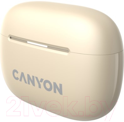 Беспроводные наушники Canyon TWS-10 / CNS-TWS10BG 