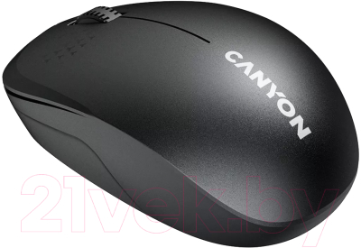 Мышь Canyon MW-04 / CNS-CMSW04B (черный)