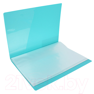 Папка для бумаг Darvish DV-0274S-LB (голубой)