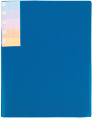 Папка для бумаг Darvish DV-0274S-BL (синий)