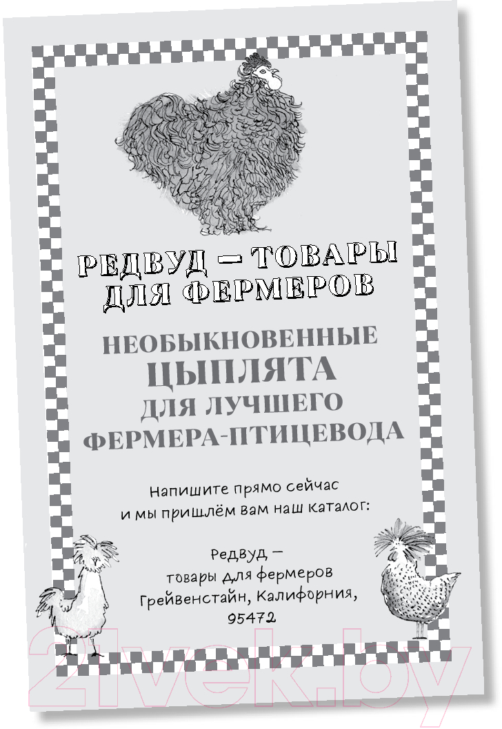 Художественная книга Альпина Необыкновенные куры для лучшего фермера-птицевода (Джонс К.) — фото 5