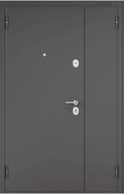 Входная дверь Mastino Mega Mass MM графит букле/графит букле (120x205, левая)
