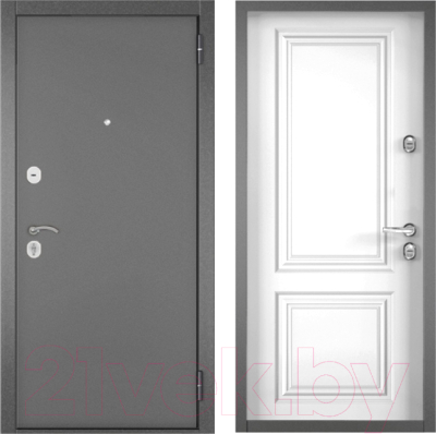 Входная дверь Torex T Home Eco MР2 (95x205, правая)