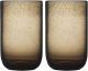 Набор стаканов Liberty Jones Flowi / LJ0000211 (2шт, серый) - 