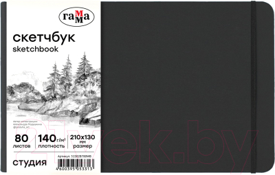 Скетчбук ГАММА Студия / 51S02B780WB (80л, черный)