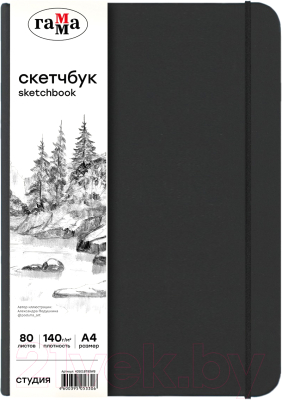 Скетчбук ГАММА Студия / 40S01B780WB (80л, черный)