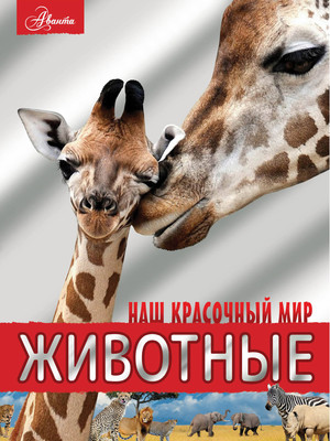 Энциклопедия АСТ Животные (2023), твердая обложка (Вайткене Любовь, Филиппова Мира) - 