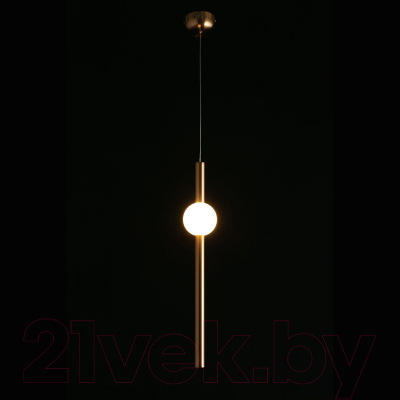 Потолочный светильник Aployt Zhozefin APL.038.06.12