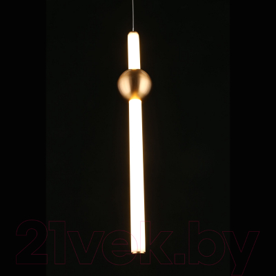 Потолочный светильник Aployt Zhozefin APL.038.06.20