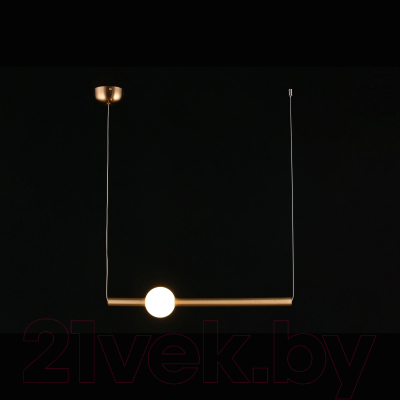 Потолочный светильник Aployt Zhozefin APL.038.16.12