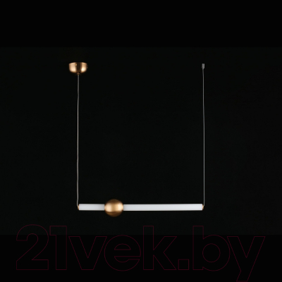 Потолочный светильник Aployt Zhozefin APL.038.16.20