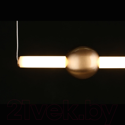 Потолочный светильник Aployt Zhozefin APL.038.16.20