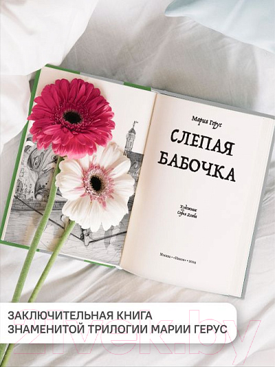 Книга Никея Слепая бабочка / 9785907661608