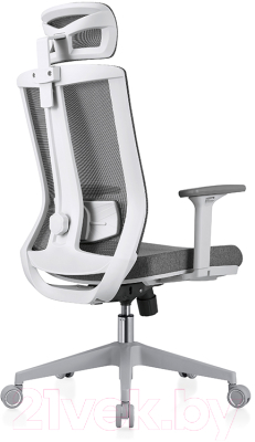 Кресло офисное Evolution Ergo Bliss (серый)
