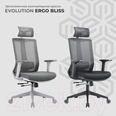 Купить Кресло офисное Evolution Ergo Bliss в Солигорске