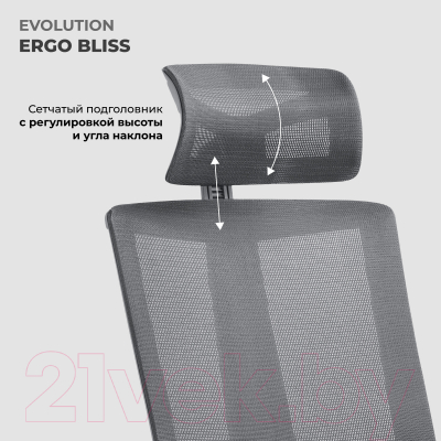 Купить Кресло офисное Evolution Ergo Bliss в Солигорске
