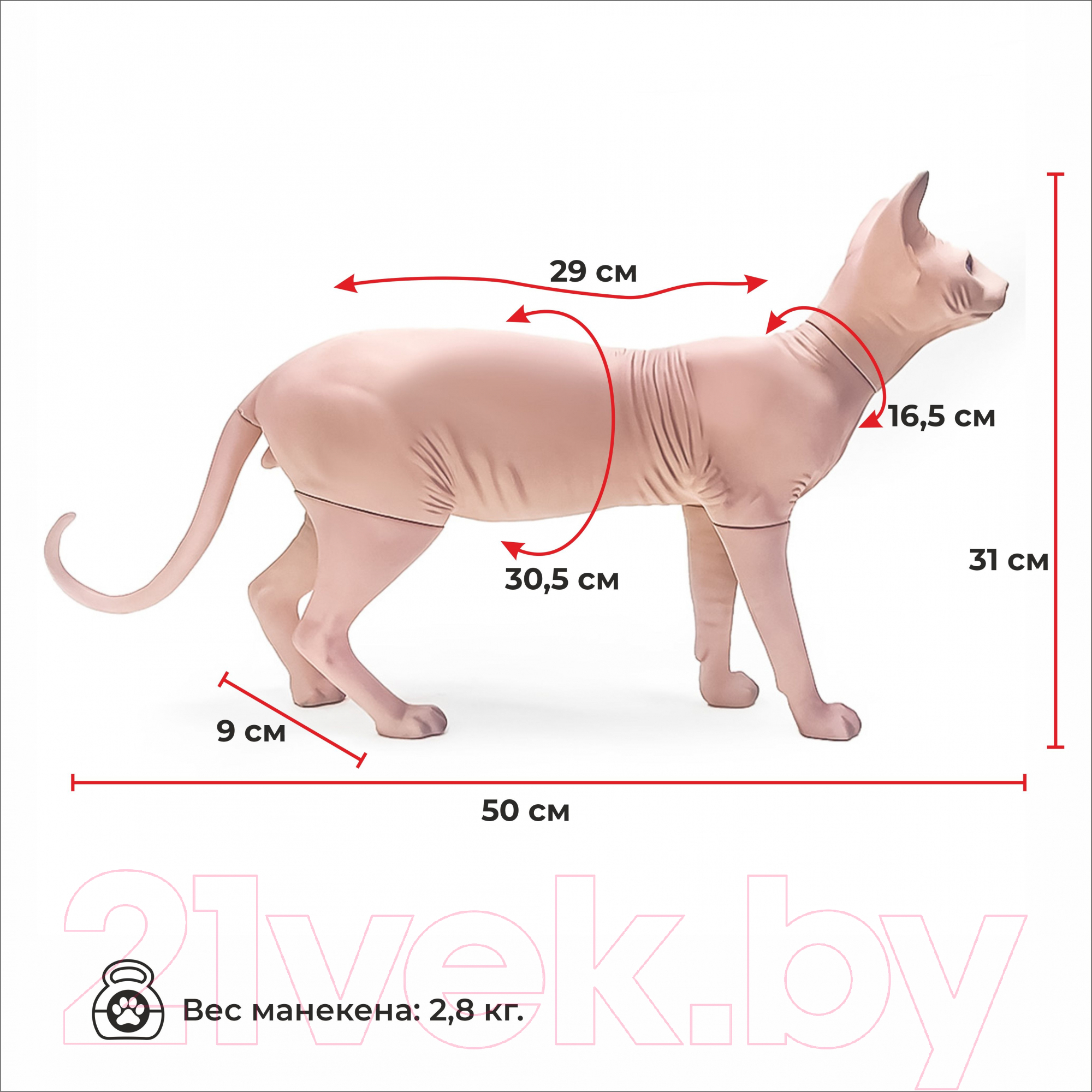 Манекен животного Afellow Кошка Сфинкс / WMOI-F