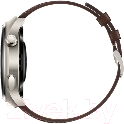 Изображение товара Умные часы Huawei 4 Pro Aerospace-Grade Titanium Case Brown Strap / MDS-AL00