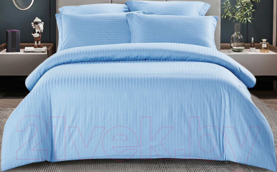 Комплект постельного белья LUXOR Полоса 1x1 13-4202 2.0 с европростыней (голубая лагуна, сатин-страйп)