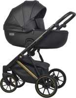 Детская универсальная коляска Riko Montana Premium 2 в 1 (02, черный, рама золото) - 