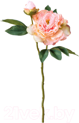 Искусственный цветок Lefard Пион с бутоном / 21-2034 (кремовый)