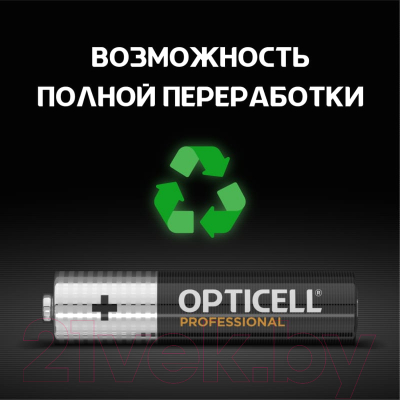 Комплект батареек Opticell Professional AAA 5052006 (12шт)