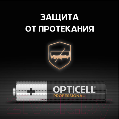 Комплект батареек Opticell Professional AAA 5052006 (12шт)