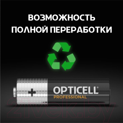 Комплект батареек Opticell Professional AA 5052005 (12шт)