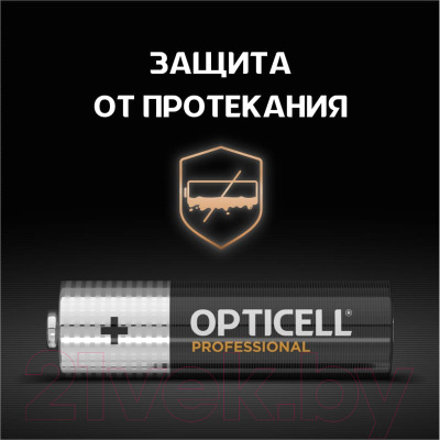 Комплект батареек Opticell Professional AA 5052005 (12шт)