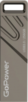 Usb flash накопитель GoPower Titan 256GB USB3.0 / 00-00027356 (черный графит) - 
