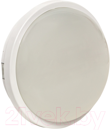 Светильник ЖКХ EKF PROxima BKL-2003-R-15-4000