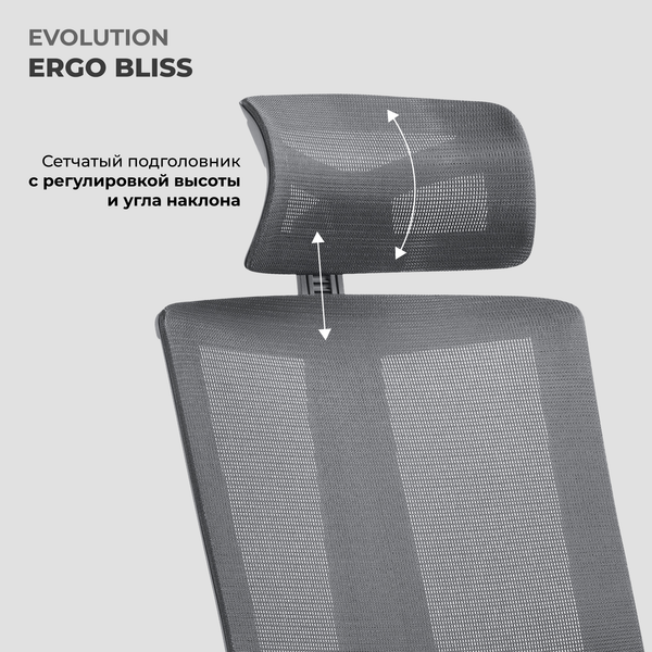 Купить Кресло офисное Evolution Ergo Bliss в Гродно