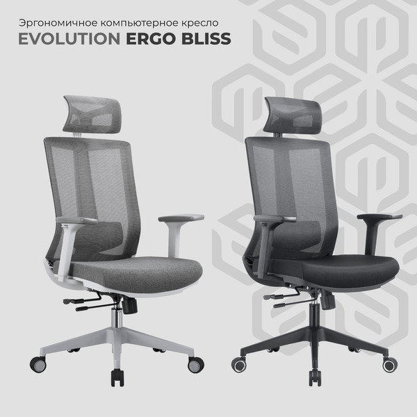 Купить Кресло офисное Evolution Ergo Bliss в Гродно