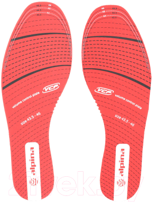 Ботинки для беговых лыж Alpina Sports E30 / 54041 (р-р 42)
